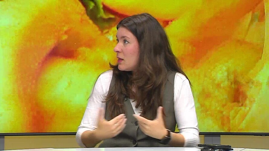 PUNTO DE ENCUENTRO 15-05-25