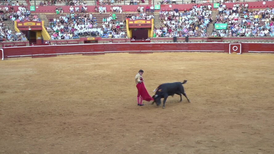 FERIA TAURINA 2025 NOVILLADA