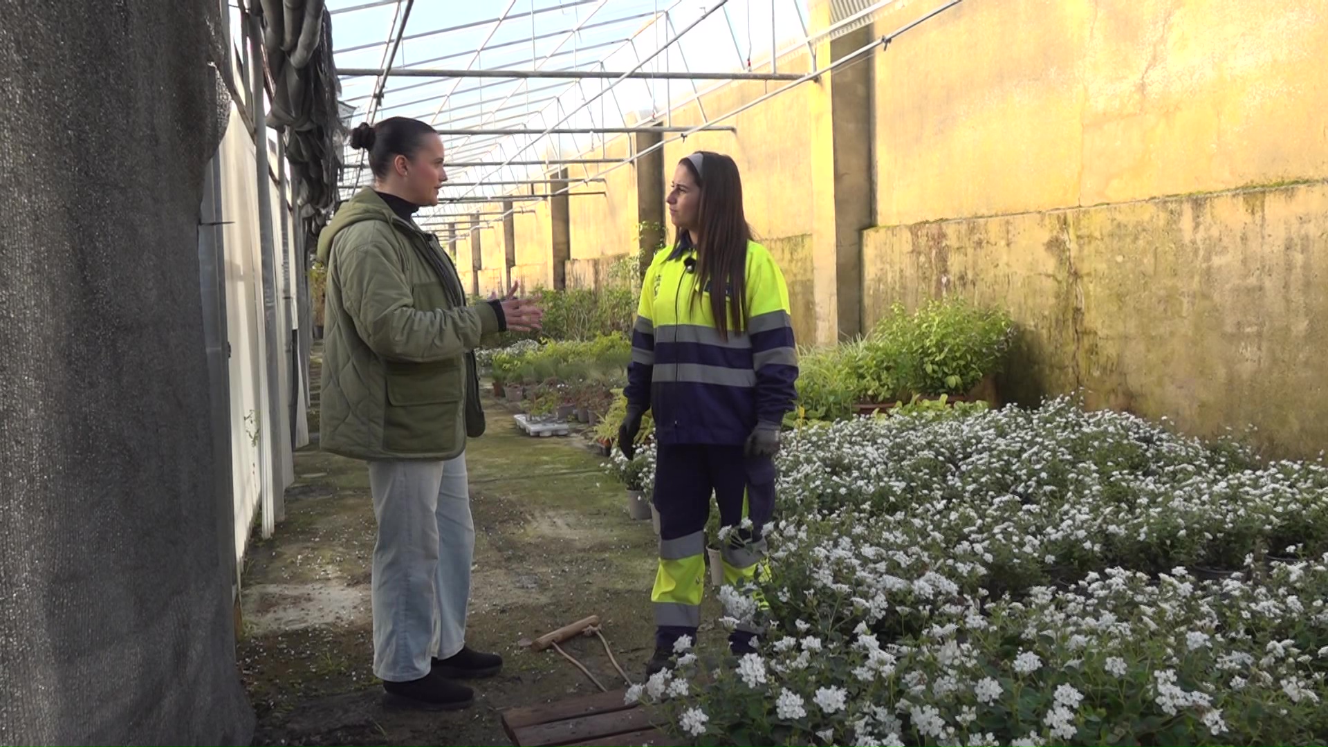 vlcsnap-2026-01-22-17h39m41s248