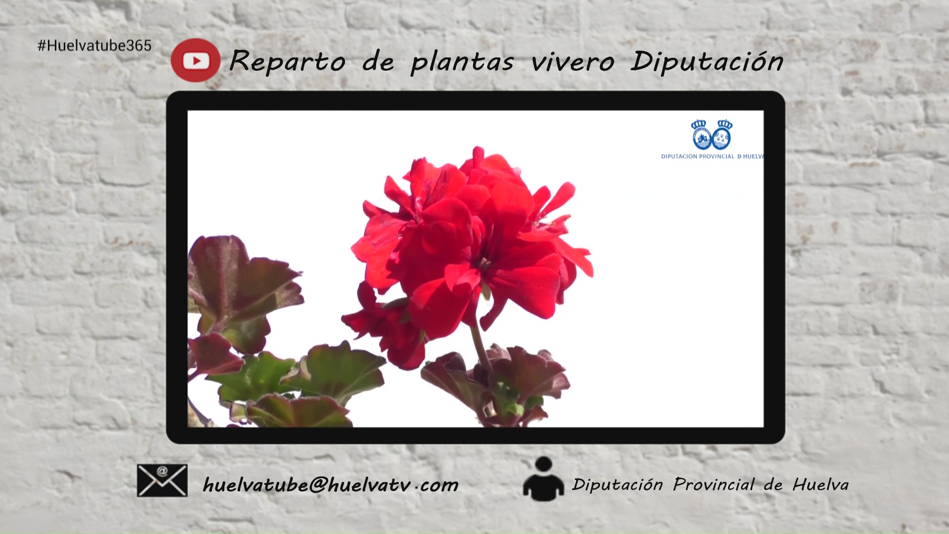 vlcsnap-2026-04-09-11h33m04s761