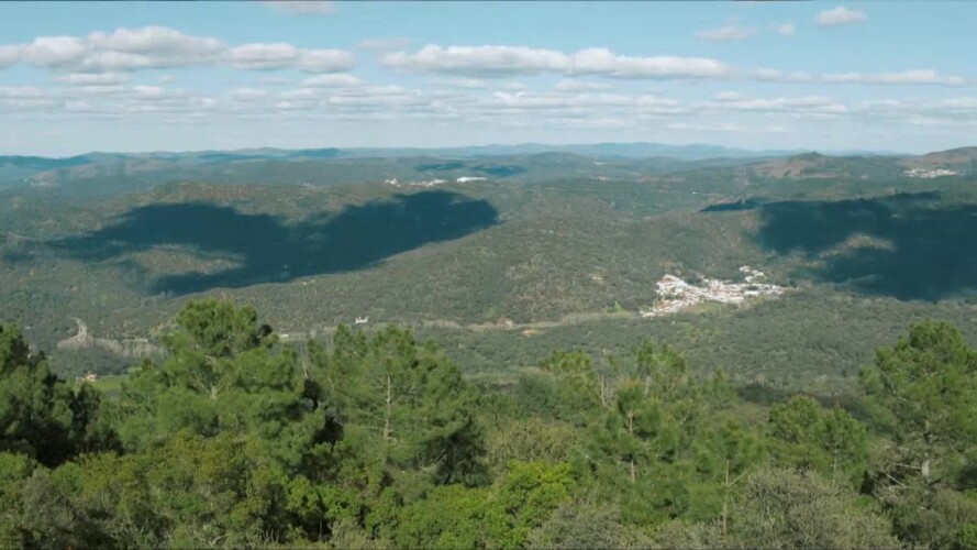 INFORMATIVO 15-04-26