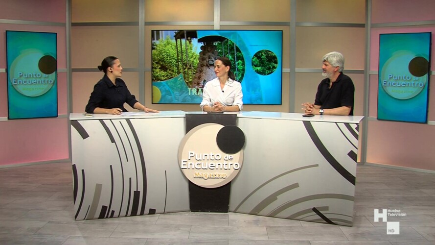 PUNTO DE ENCUENTRO 14-05-26