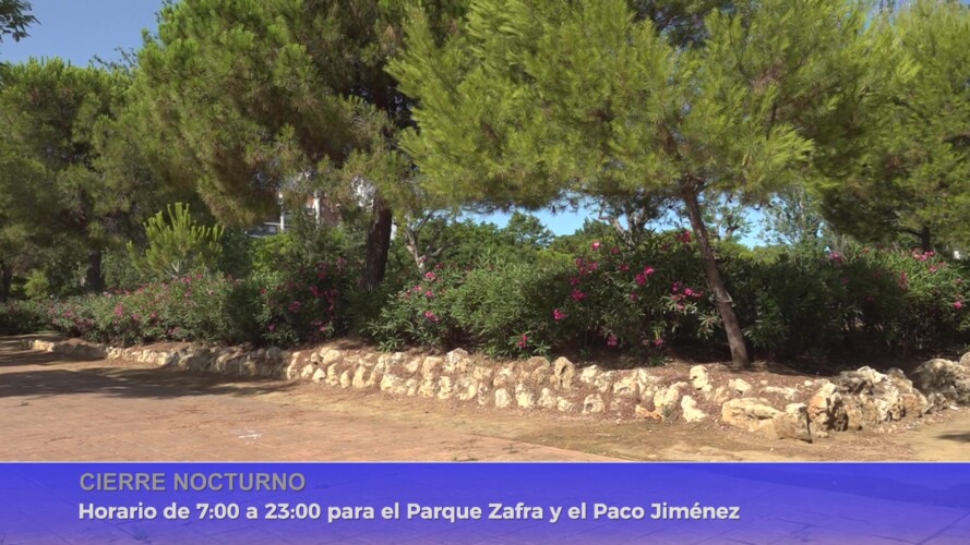 INFORMATIVO 17-07-26