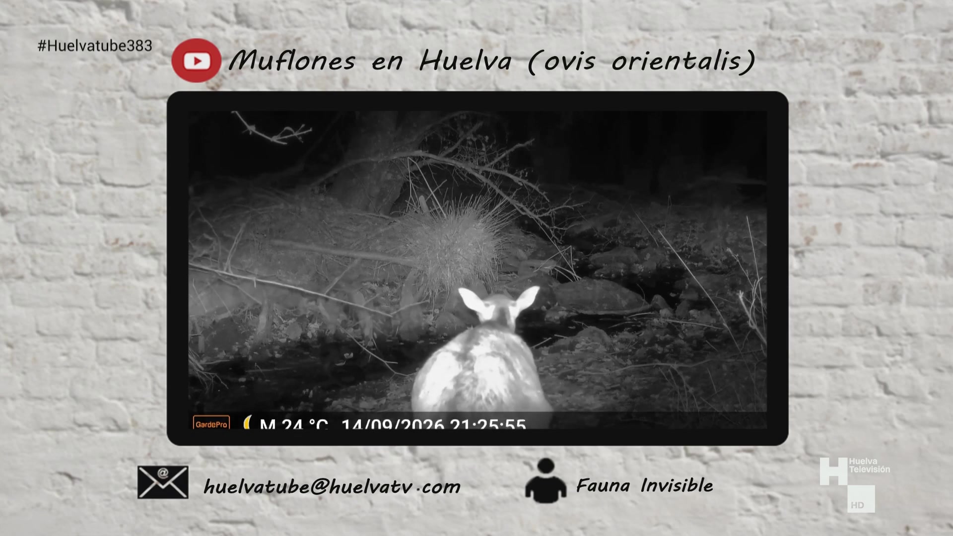 HUELVATUBE 383 02-10-26__poster