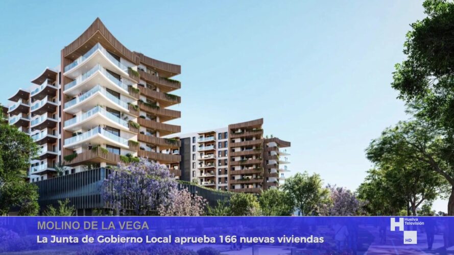 Informativo 19-10-26